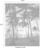 Komar Palmtrees on Beach 200 x 250 cm