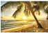PaperMoon 18605 Barbados Palm Beach 1 Palme 7-tlg. 350 x 260 cm
