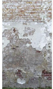 Livingwalls 39234-1 The Wall II Stein und Putz Grau Beige 3-tlg. 159 x 280 cm
