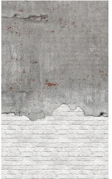 Rasch 364286 Factory V Betonwand weiß 3-tlg. 159 x 265 cm