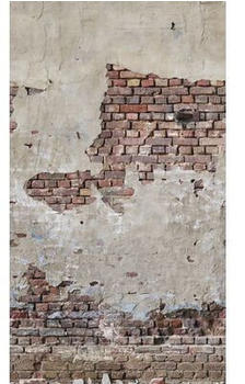 Livingwalls 39256-1 The Wall II Maueroptik Ziegel und Putz Grau 3-tlg. 159 x 280 cm