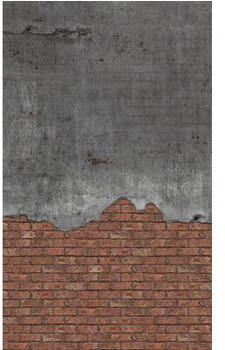 Rasch 364309 Factory V Betonwand rot 3-tlg. 159 x 265 cm