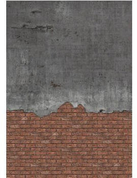 Rasch 364293 Factory V Betonwand rot 4-tlg. 212 x 300 cm