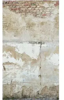 Livingwalls 39249-1 The Wall II Vintage Wand Beige Grau 3-tlg. 159 x 280 cm