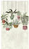 Livingwalls 38266-1 The Wall Hängende Pflanzen 3-tlg. 159 x 280 cm