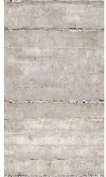 Livingwalls 39252-1 The Wall II Betonwand mit Rissen Grau 3-tlg. 159 x 280 cm