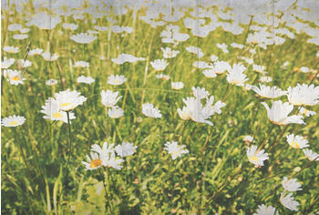 Architects Paper Flower Concrete 2,7 x 4 m (35767434-0)