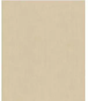 Rasch Concrete Uni beige (521467)
