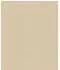 Rasch Concrete Uni beige (521467)