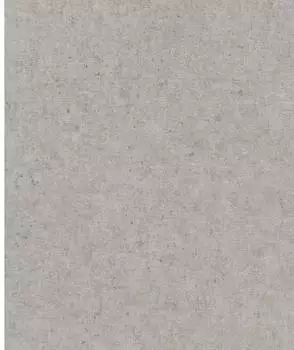 Rasch Concrete Uni grau (520866)