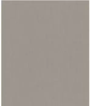 Rasch Concrete Uni grau (521481)