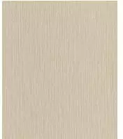 Vliestapete 537635 Tapete Uni Einfarbig 53 X 1005 Cm Rasch Curiosity Beige
