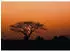 Rasch African Queen III natur rot 8-tlg. 424 x 300 cm (363647)
