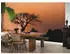 Rasch African Queen III natur rot 8-tlg. 424 x 300 cm (363647)