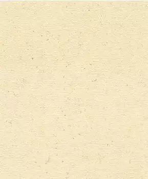 Rasch Concrete Uni beige (520842)