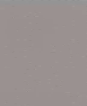 Rasch African Queen III Leder grau (752649)