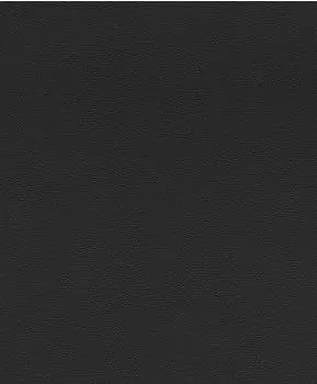 Rasch African Queen III Leder schwarz (752656)