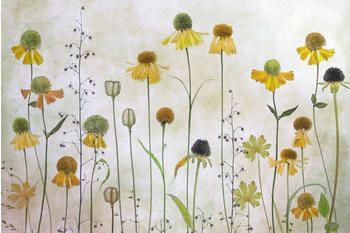 PaperMoon Premium collection Fototapete Helenium (B x H: 350 x 260 cm, Vlies)