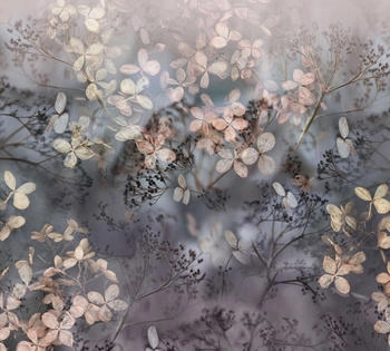 Guido Maria Kretschmer Holunderblüten Violet (223615)