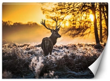 Feeby Fototapete Hirsche im Nebel 400x280
