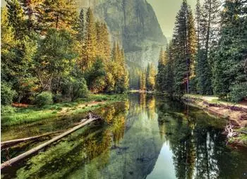 mayddle Landschaft Fluss Wald Grün Gelb 3,50 x 2,55 m