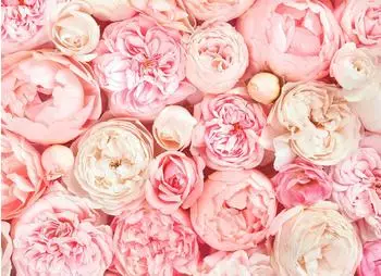 mayddle Blumen Rosen Blüten Weiß Rosa 3,50 x 2,55 m