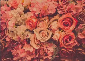 mayddle Blumen Rosen Blüten Vintage Rosa Rot Grün 3,50 x 2,55 m