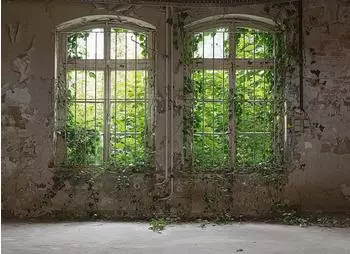 mayddle Steinwand Fenster Industrial Grau Grün 3,50 x 2,55 m