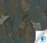 Livingwalls Designdrop Stilvoller Palmenblatt-Dschungel Grün-Blau Floral 10,05 x 0,53 m