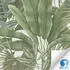 Livingwalls Designdrop Palme Grün-Beige Floral 10,05 x 0,53 m