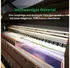 Wallarena Mehrfarbig Papier Uni Rechteckig 300x210 cm FSC 100% & Wandverkleidungen Fototapeten (800001380385)