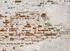 Livingwalls Fototapete WallBricks1 Backstein Maueroptik Vlies 2,55x3,5m (53113264-0)
