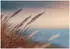 Wallarena Mehrfarbig Papier Uni Rechteckig 150x105 cm FSC 100% & Wandverkleidungen Fototapeten (800001213279)