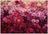 Wallarena Mehrfarbig Papier Uni Rechteckig 350x250 cm FSC 100% & Wandverkleidungen Fototapeten (800001212433)