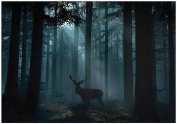 Wallarena Vlies Wald 300x210 cm Fototapeten f&uuml;r Wohnzimmer Schlafzimmer Wandtapete 3D Effektinkl. Kleister Nacht Hirsch Landschaft (15956VX6)