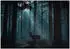 Wallarena Vlies Wald 300x210 cm Fototapeten für Wohnzimmer Schlafzimmer Wandtapete 3D Effektinkl. Kleister Nacht Hirsch Landschaft (15956VX6)