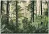 Wallarena Grün Papier Baum/Pflanze/Natur Rechteckig 350x250 cm FSC 100% & Wandverkleidungen Fototapeten (800001020271)