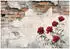 Wallarena Mehrfarbig Papier Baum/Pflanze/Natur Rechteckig 400x280 cm FSC 100% & Wandverkleidungen Fototapeten (800000981959)