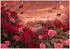 Wallarena Mehrfarbig Papier Uni Rechteckig 250x175 cm FSC 100% & Wandverkleidungen Fototapeten (800001475836)