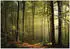 Wallarena Mehrfarbig Papier Uni Rechteckig 300x210 cm FSC 100% & Wandverkleidungen Fototapeten (800001213303)