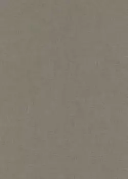 Erismann Einfarbig Dunkelgrau 1053934)