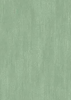 Erismann Einfarbig Gr&uuml;n 1053436)