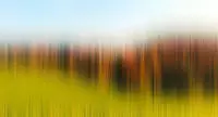 Architects Paper Fototapete "Atelier 47 Diffused Tree Row 2" abstrakt glatt...