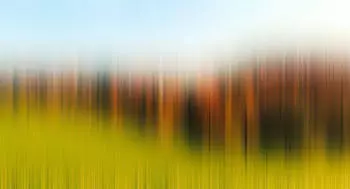 Architects Paper Atelier 47 Diffused Tree Row Landschaft (90356456)