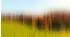 Architects Paper Atelier 47 Diffused Tree Row Landschaft (90356456)