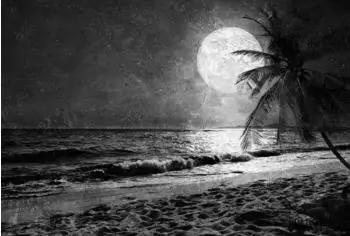 Architects Paper Atelier 47 Beach at Night Mond (57697544)