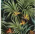 Superfresco Easy Strelitzia Blätter gemustert FSC zertifiziert mit lebhaftem Druck 10 Meter Länge bunt (17927805)