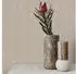 Superfresco Easy Cody texturiert grafisch (1 St) Design Beige (800001261740)
