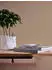 Bricoflor A.S. Création Uni Beige braun Nara 387443 Einfarbig 10,05 m x 0,53 m Made in Germany