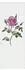 Livingwalls Walls by Patel 2 Spring Panels 2 Fototapete Vlies Floral Grau/Lila (46168910-0)